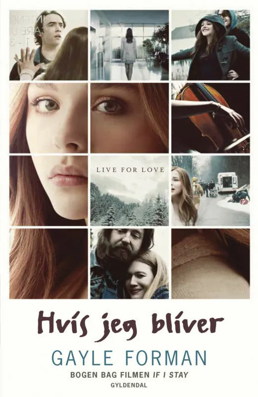 Billede af If I Stay 1 - Hvis jeg bliver