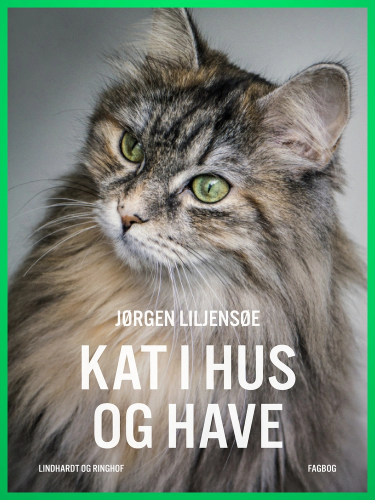 Kat i hus og have