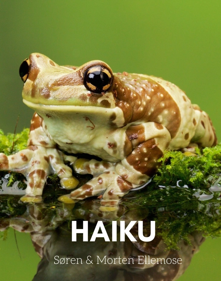 Billede af HAIKU