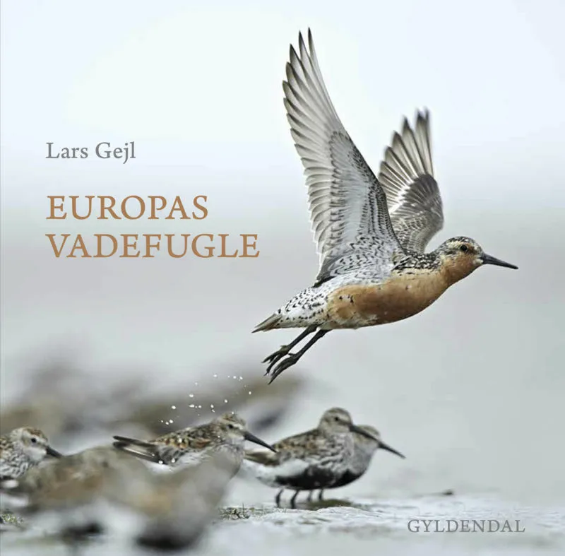 Billede af Europas vadefugle