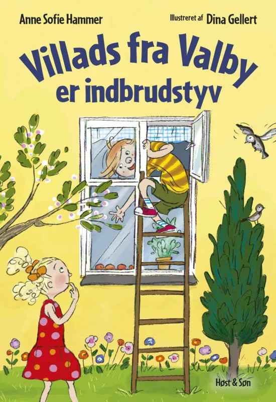 Billede af Villads fra Valby er indbrudstyv