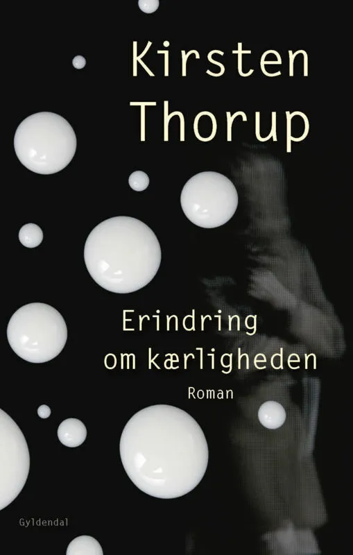 Billede af Erindring om kærligheden