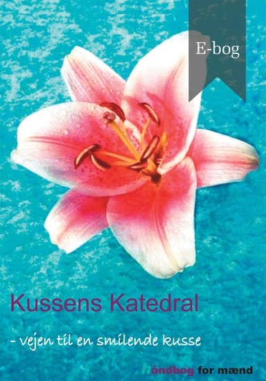 Kussens Katedral