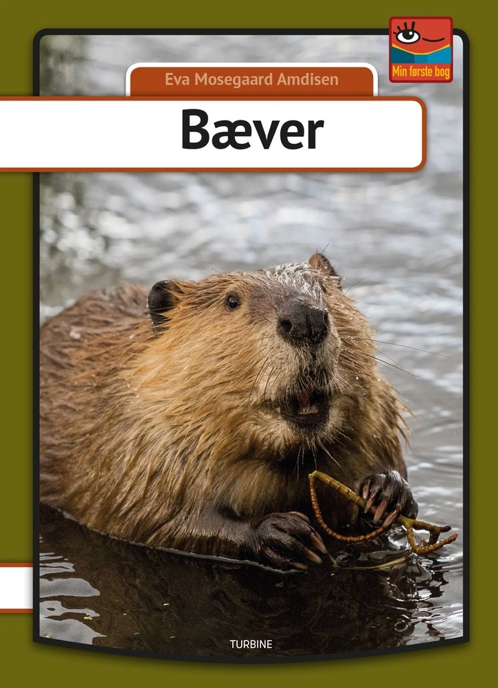 Billede af Bæver