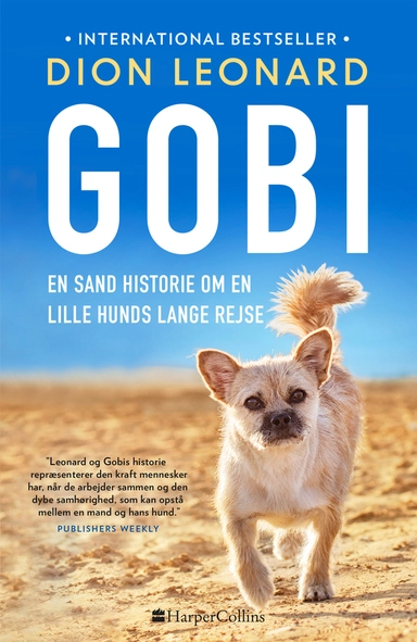 Gobi