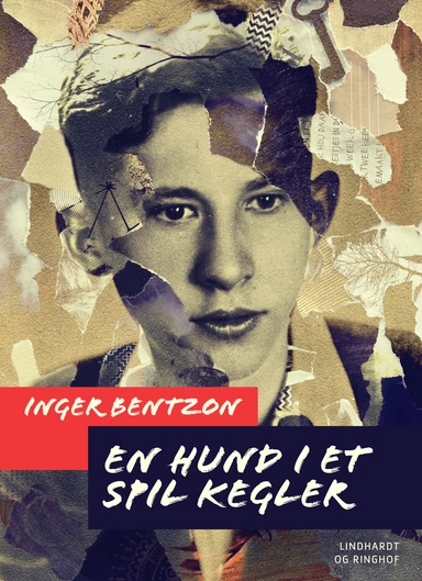 En hund i et spil kegler
