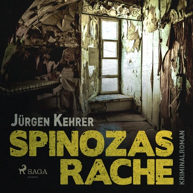 Spinozas Rache: Kriminalroman