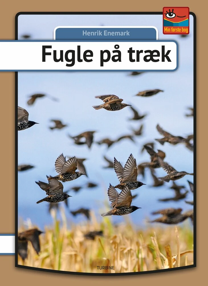 Billede af Fugle på træk