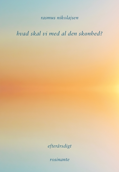 Billede af hvad skal vi med al den skønhed?