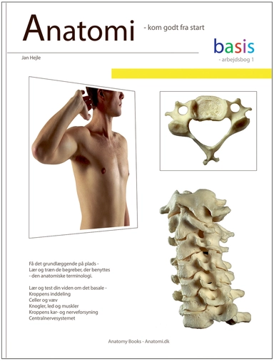 Anatomi - basis - Arbejdsbog 1