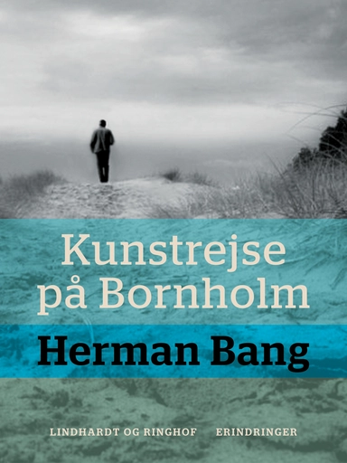 Kunstrejse på Bornholm