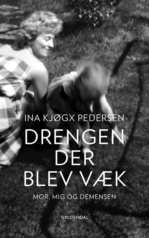 Billede af Drengen, der blev væk