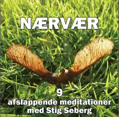NÆRVÆR - 9 afslappende meditationer med Stig Seberg