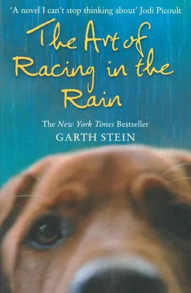 The Art of Racing in the Rain
