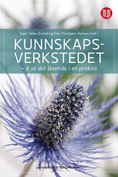 Kunnskapsverkstedet : å se det levende i en praksis