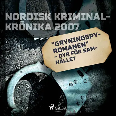 &quot;Gryningspyromanen&quot; – dyr för samhället