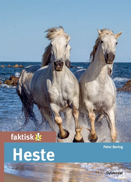 Billede af Heste