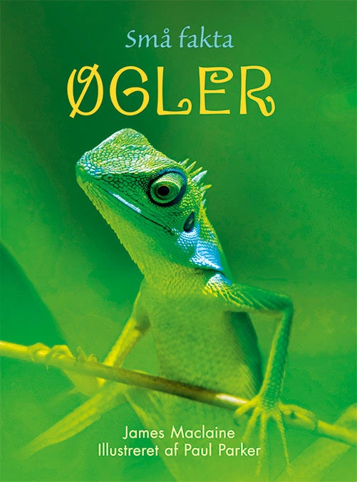 Billede af Små Fakta: Øgler