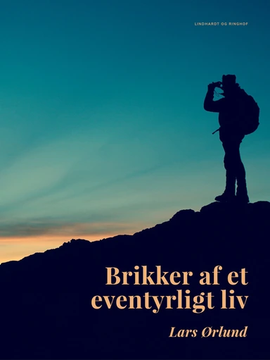 Brikker af et eventyrligt liv