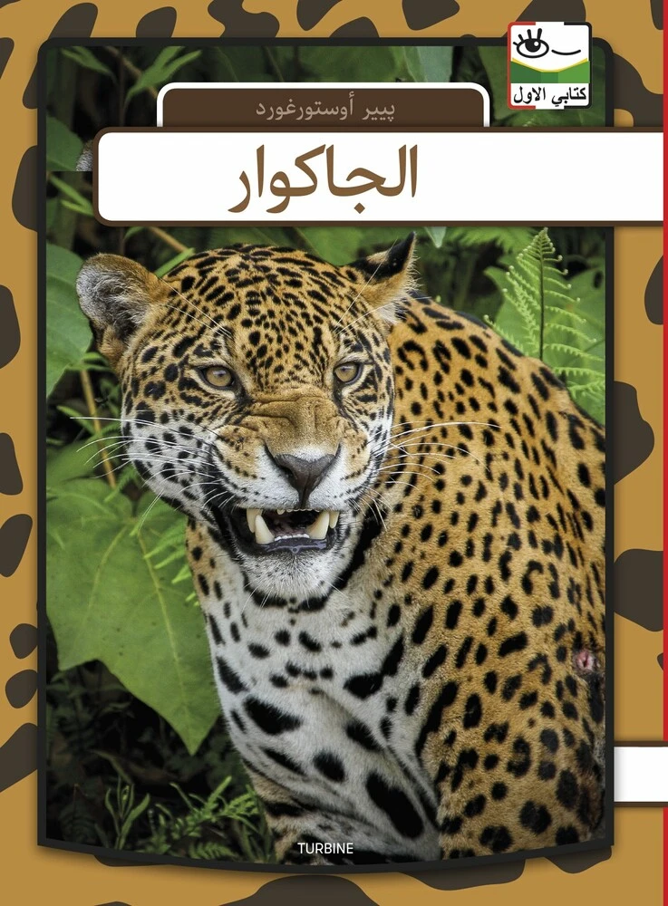 Billede af Jaguar - arabisk