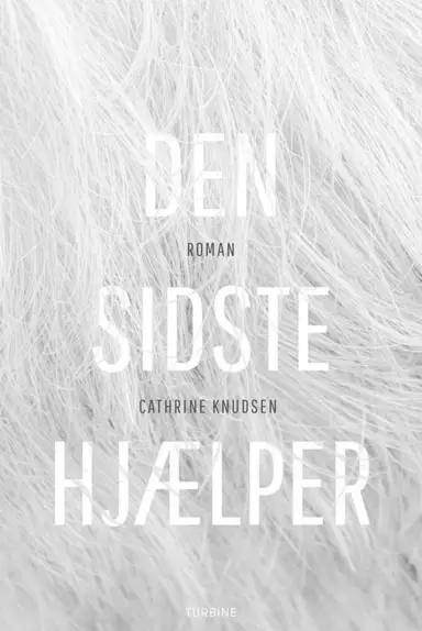 Den sidste hjælper