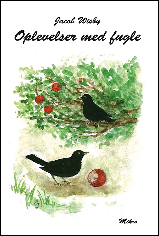 Billede af Oplevelser med fugle