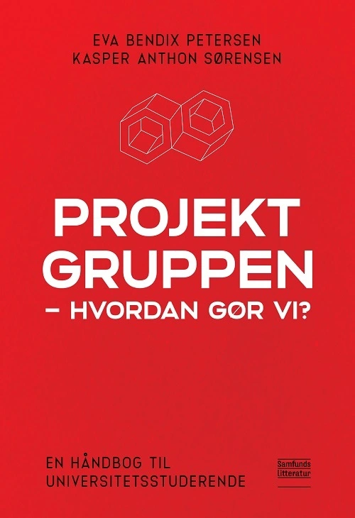 Billede af Projektgruppen - hvordan gør vi?