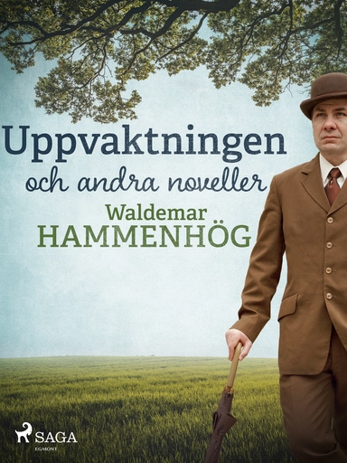 Uppvaktningen och andra noveller