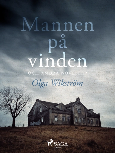 Mannen på vinden och andra noveller