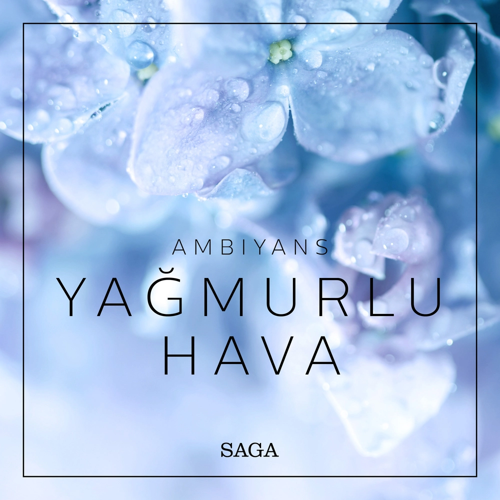 Ambiyans - YaÄmurlu Hava
