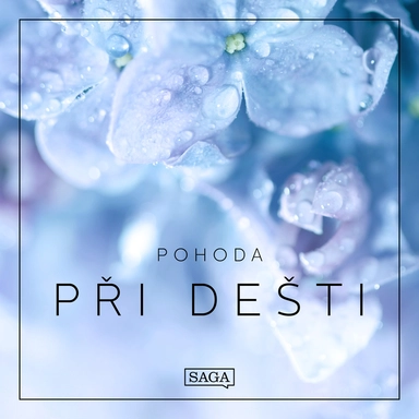 Nálada – Při dešti