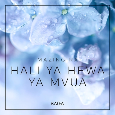 Mazingira - Hali ya hewa ya Mvua