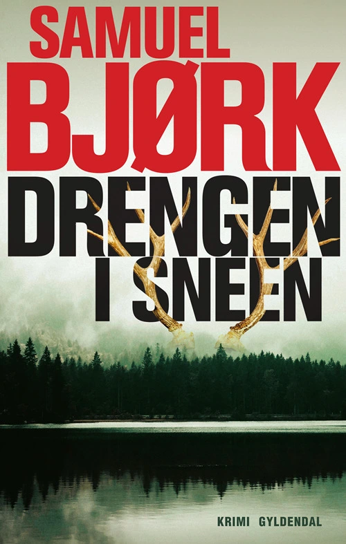 Billede af Drengen i sneen
