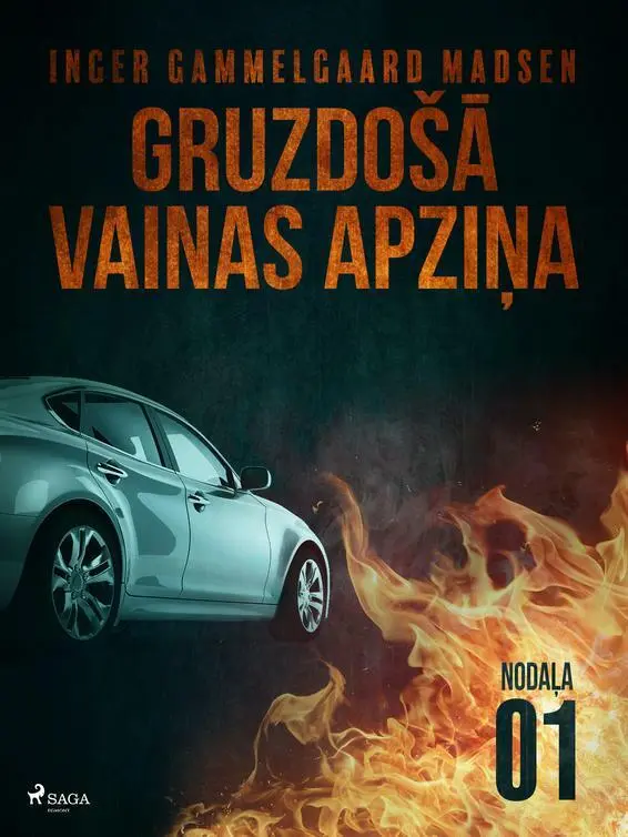 GRUZDOÅ Ä VAINAS APZIÅ AÂ â 1.Â NODAÄ»A