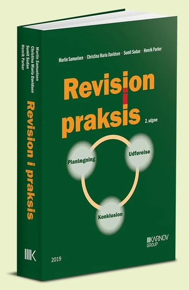 Revision i praksis - Planlægning, Udførelse, Konklusion