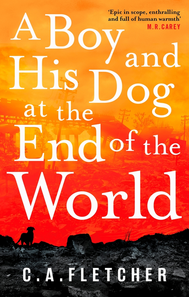 BOY & HIS DOG AT THE END OF THE WORLD