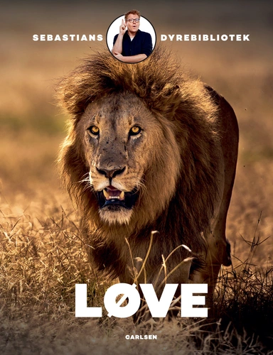 Sebastians dyrebibliotek: Løve