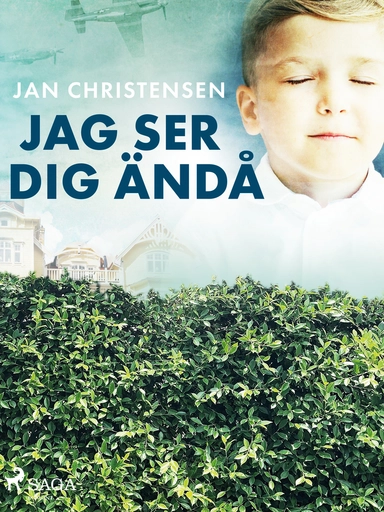 Jag ser dig ändå