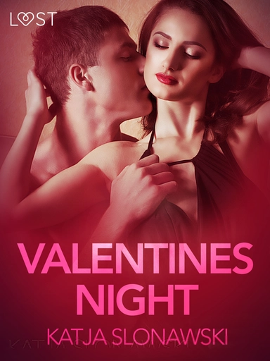 Valentine's Night - Erotic Short Story