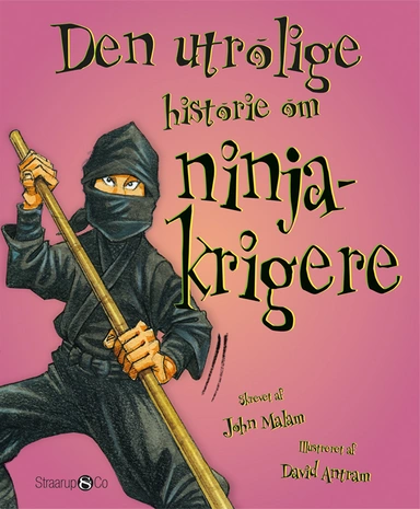 Den utrolige historie om ninjakrigere