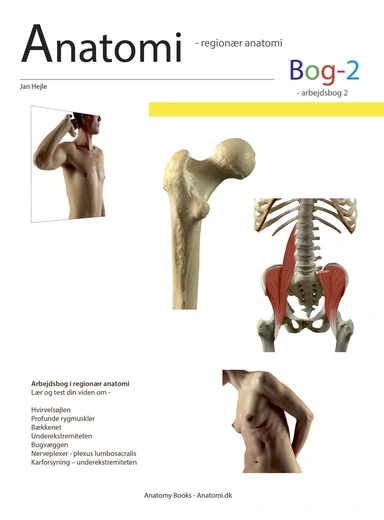 Anatomi - Bog 2