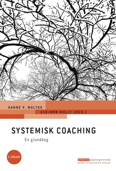 Systemisk coaching, 2. udgave