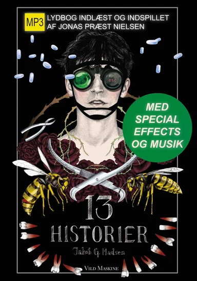 13 HISTORIER 