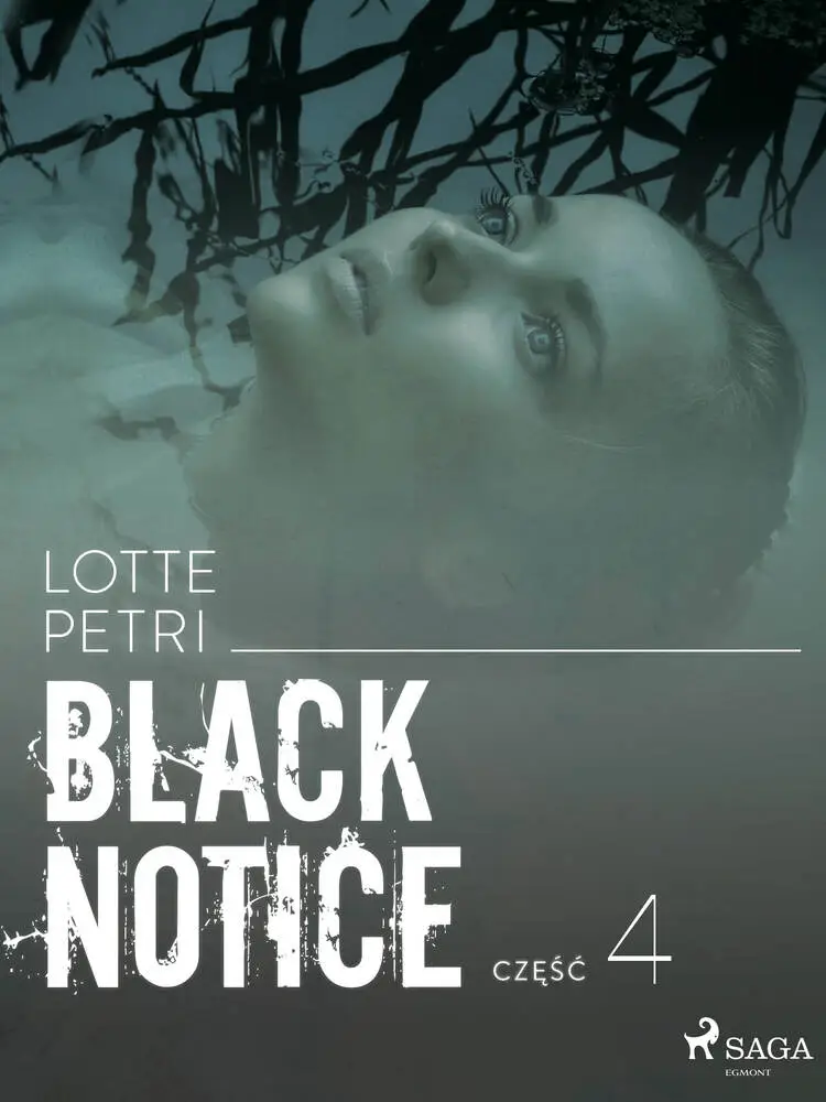 Black notice: czÄÅÄ 4