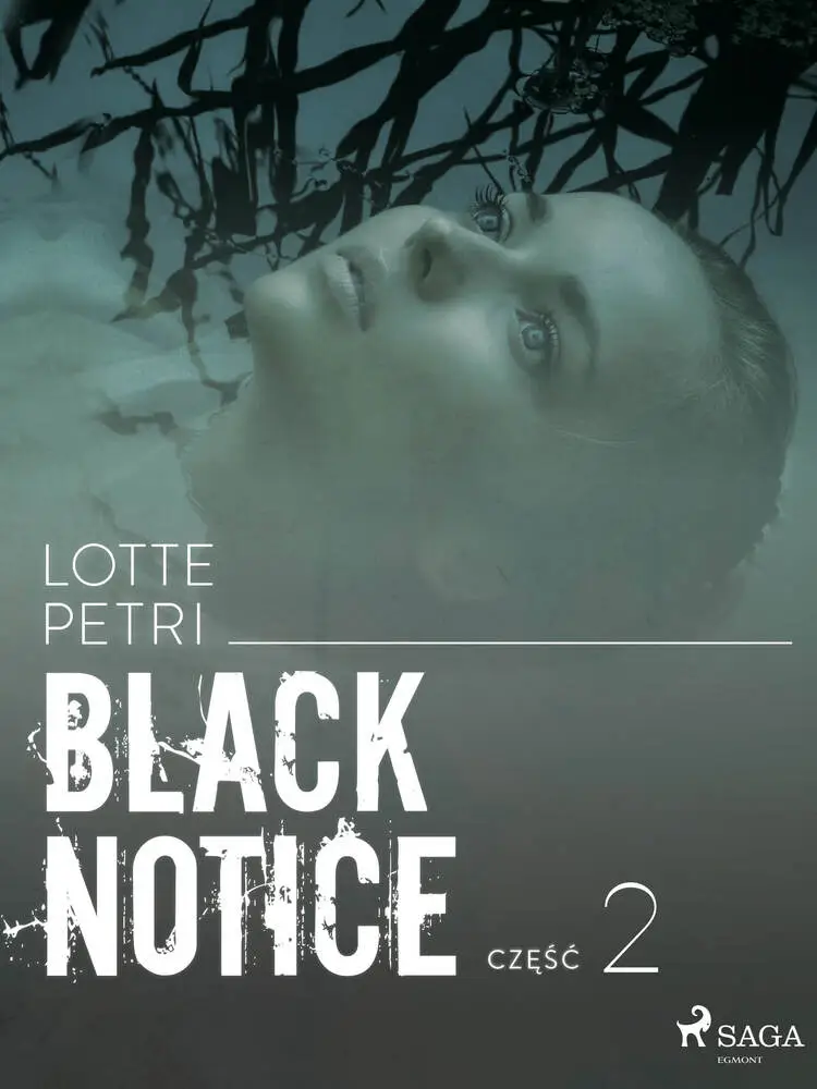 Black notice: czÄÅÄ 2