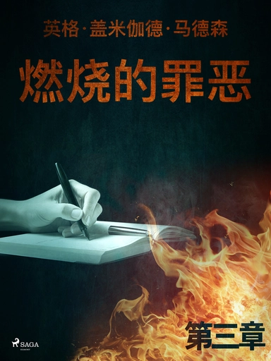 燃烧的罪恶 - 第三章