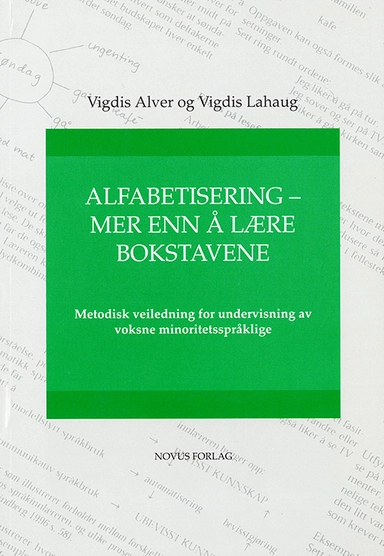 Alfabetisering - mer enn å lære bokstavene