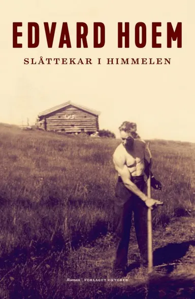 Slåttekar i himmelen : roman