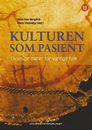 Kulturen som pasient : uvanlige møter for vanlige folk