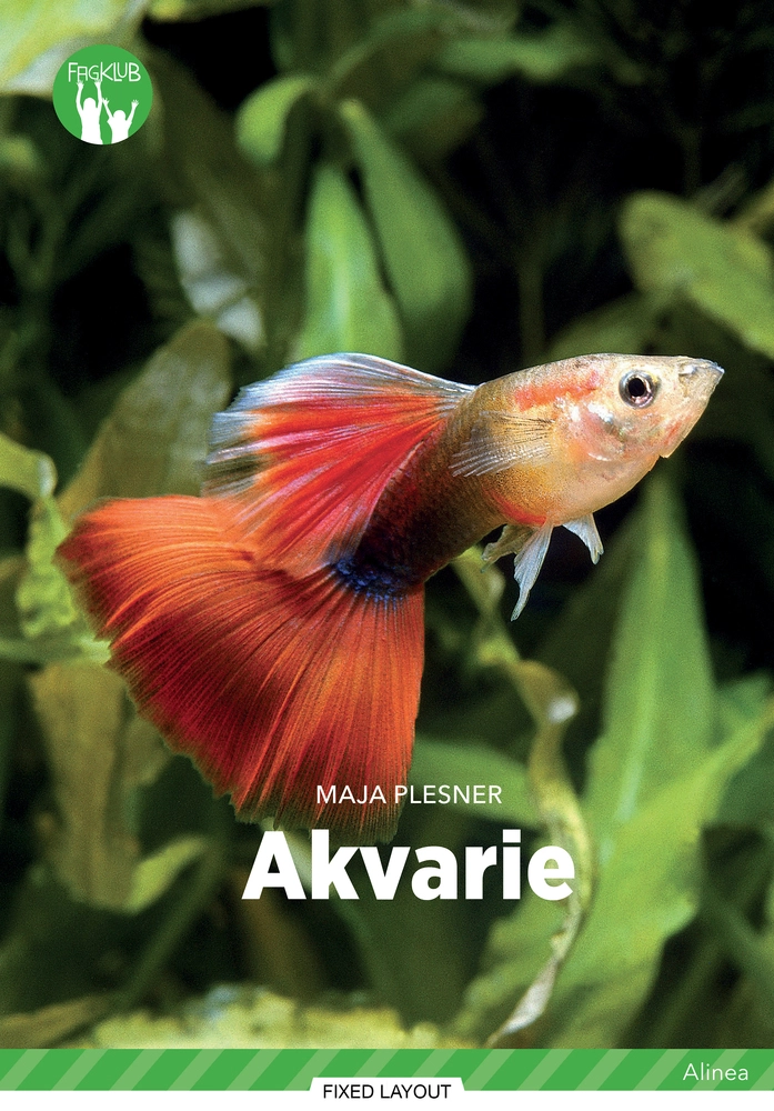 Akvarie Grøn Fagklub